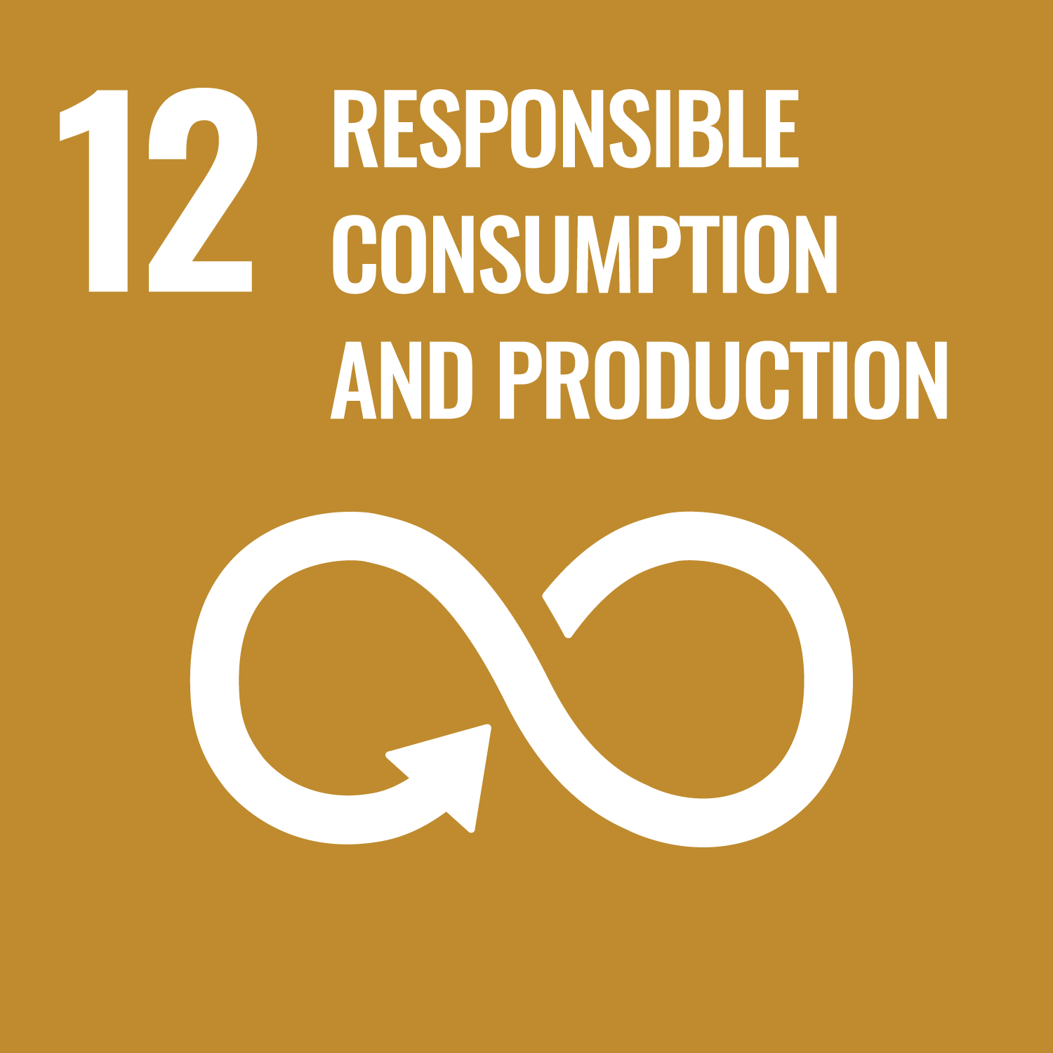 icon of UN Sustainable Development Goal 12: 12. Responsible Consumption and Production