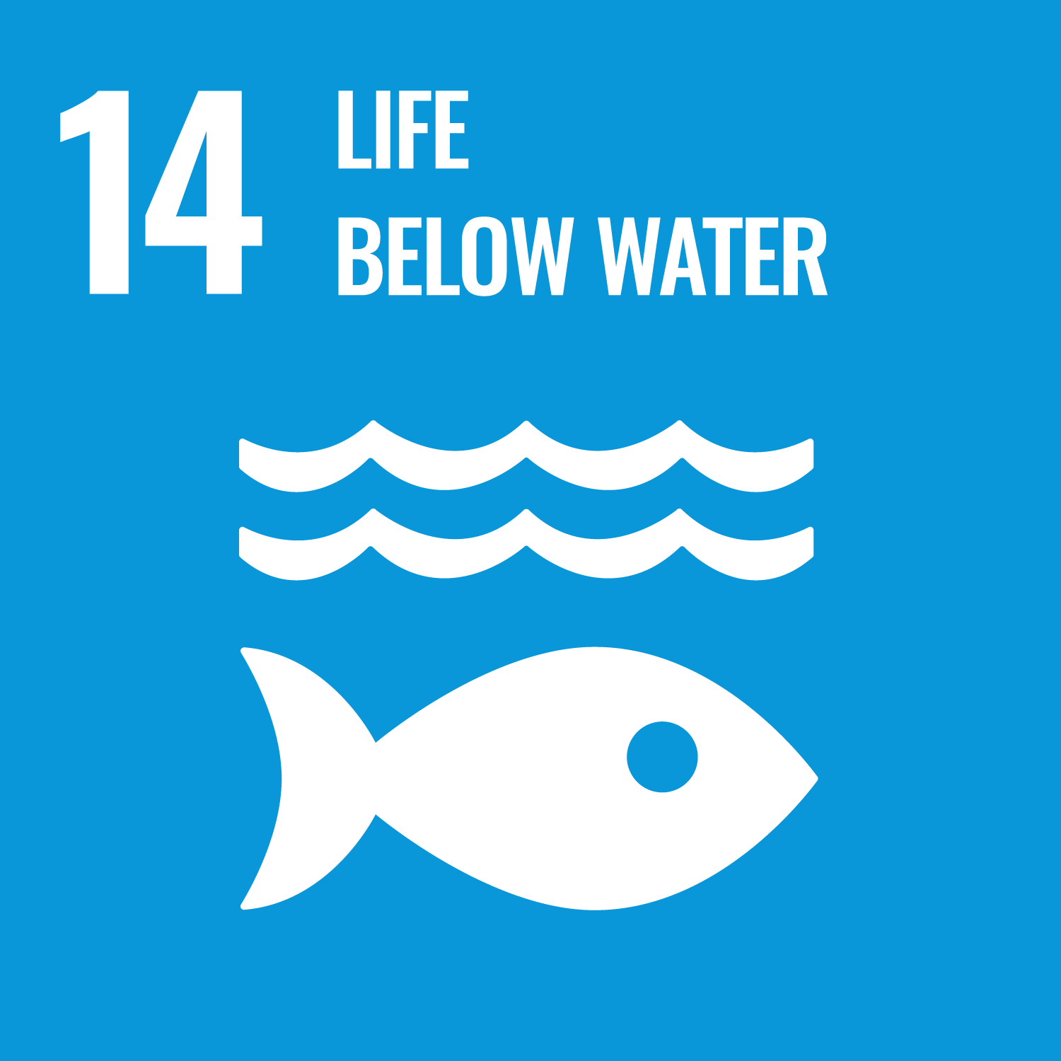 icon of UN Sustainable Development Goal 14: 14. Life Below Water