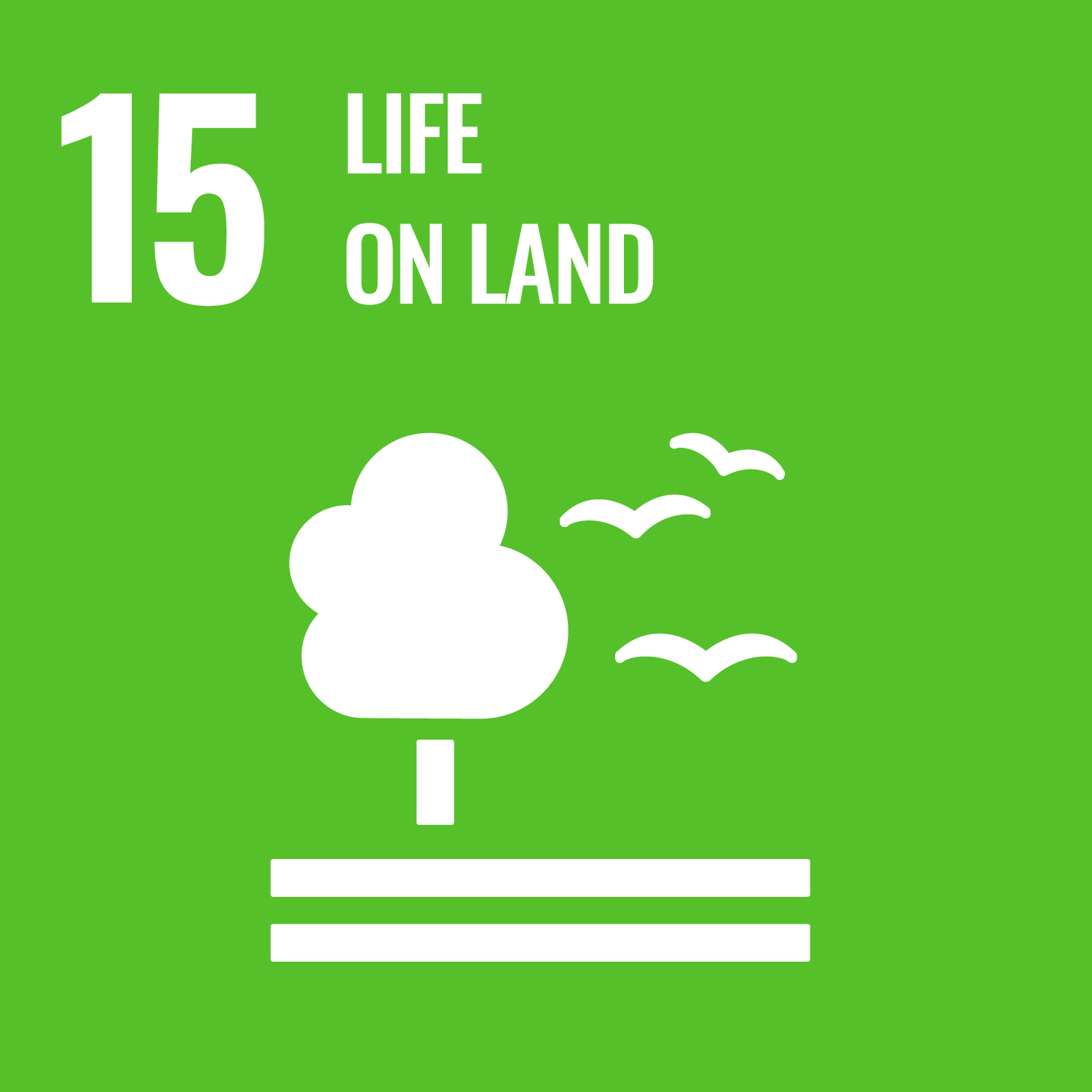icon of UN Sustainable Development Goal 15: 15. Life on Land