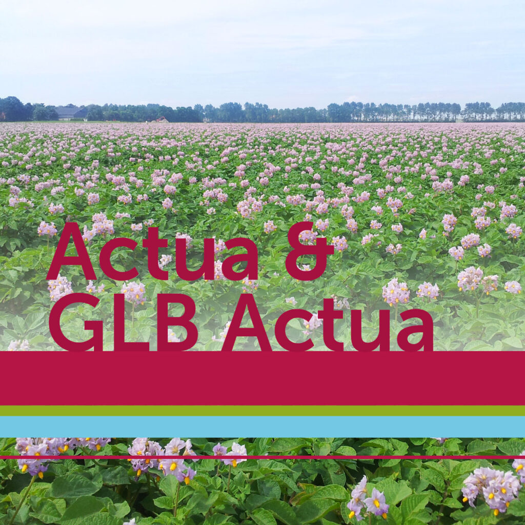 Actua & GLB Actua
