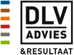 DLV Advies  logo