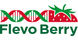 Flevo Berry logo