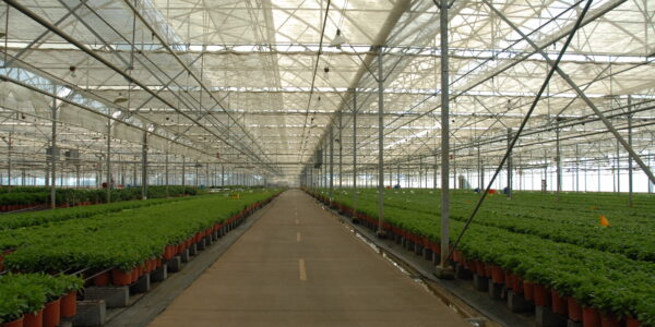 glastuinbouw