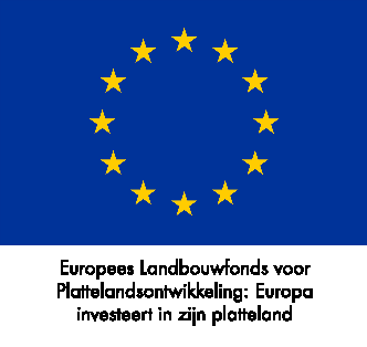 Europese Unie logo