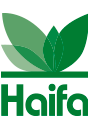 Haifa logo