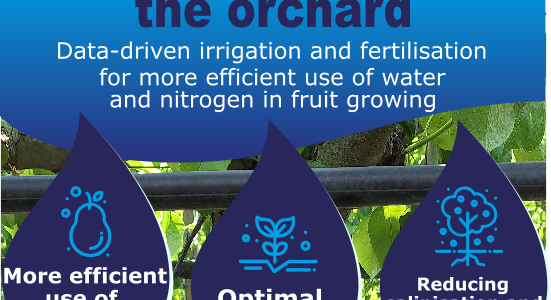 precision in the orchard