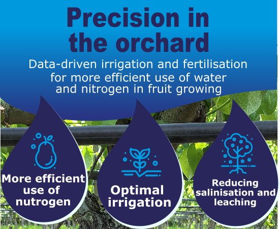 precision in the orchard