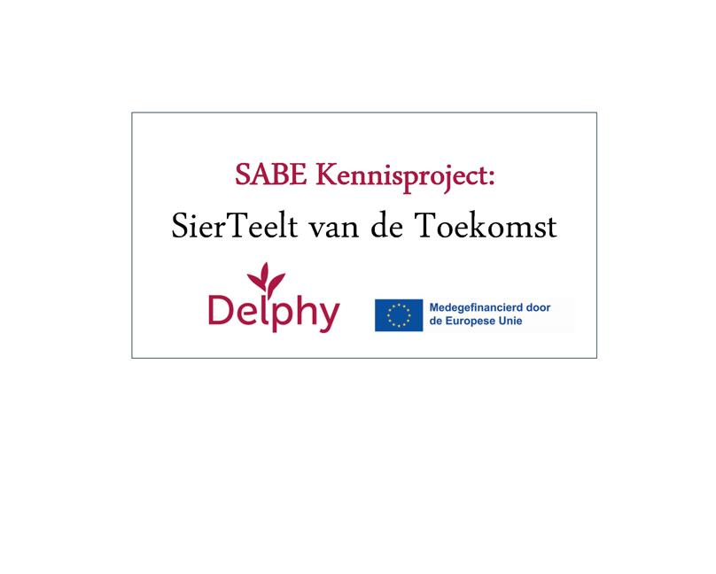 the European Union logo