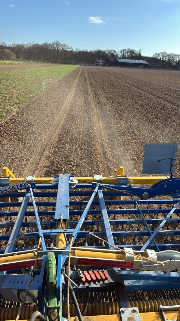 wiedeggen Lingehof Afbeelding van WhatsApp op 2025-03-31 om 17.26.53_6193cd64